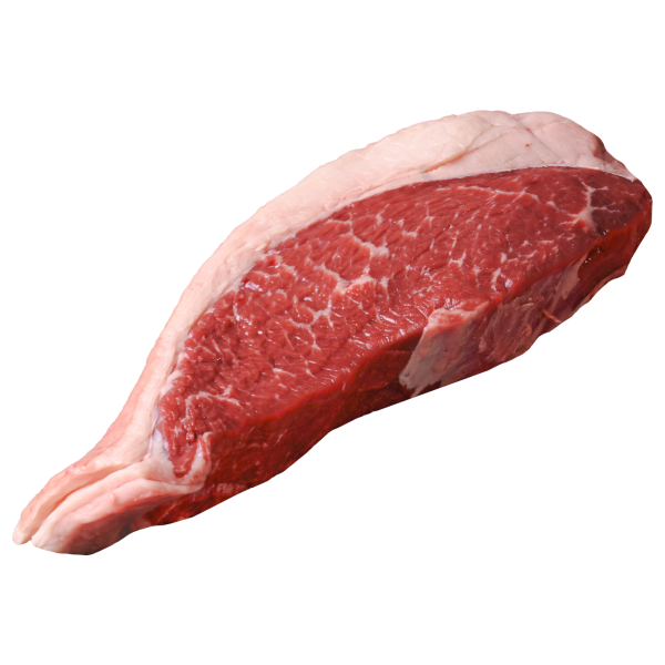 เนื้อส่วนพิเศษ เนื้อส่วนพิเศษ