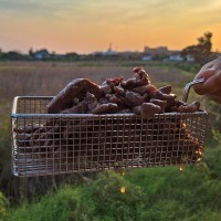 เนื้อเค็มสุตรนุ่ม 500 กรัม